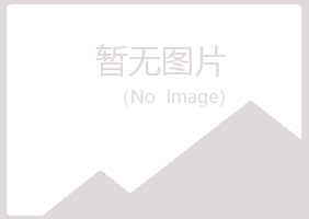 集安迎夏能源有限公司